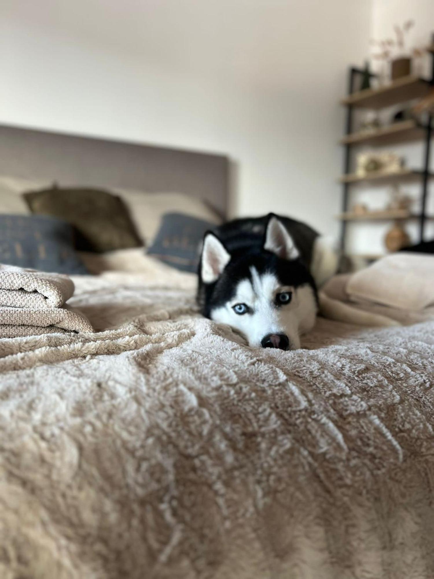 Apartman Freya Liptovský Mikuláš Esterno foto
