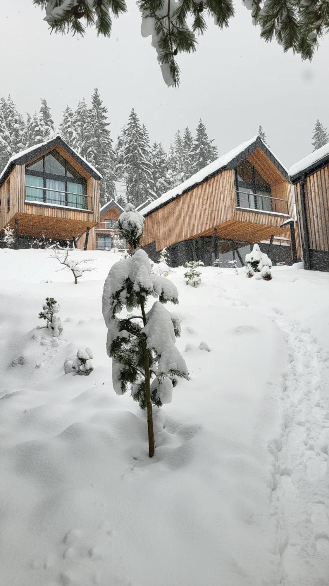 Apartman Freya Liptovský Mikuláš Esterno foto